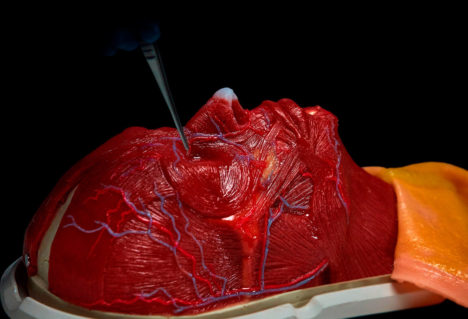 New iFace Simulator S1 2022