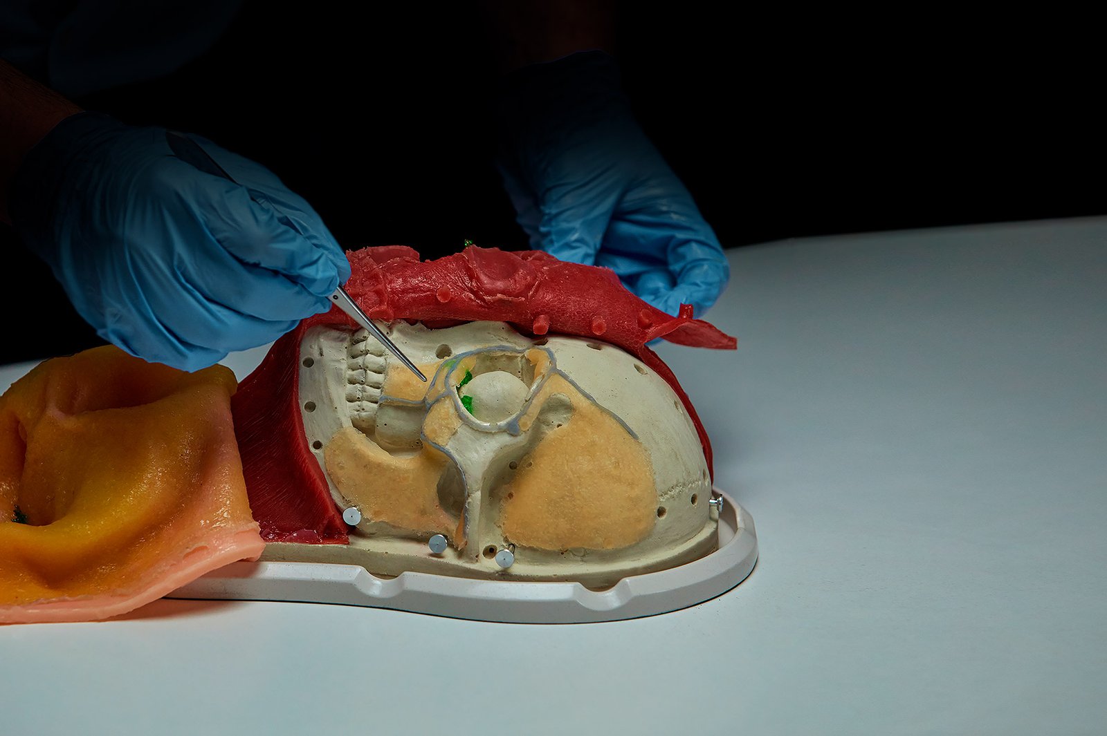 New iFace Simulator S1 2022