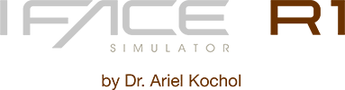 R1 Simulator logo